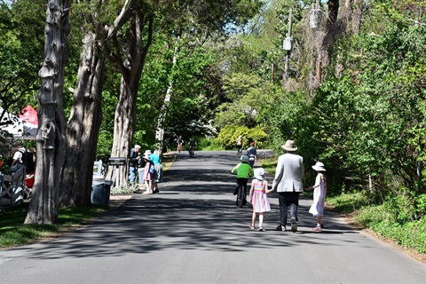 Families walking and riding bikes on Windover Avenue