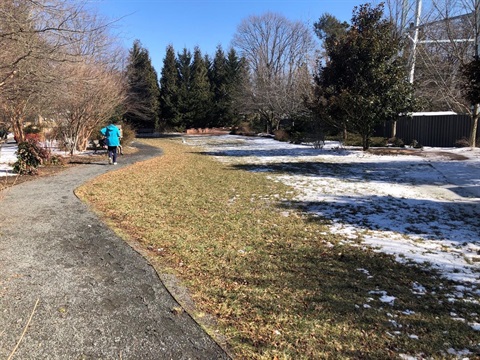 Sarah Walker Mercer Park